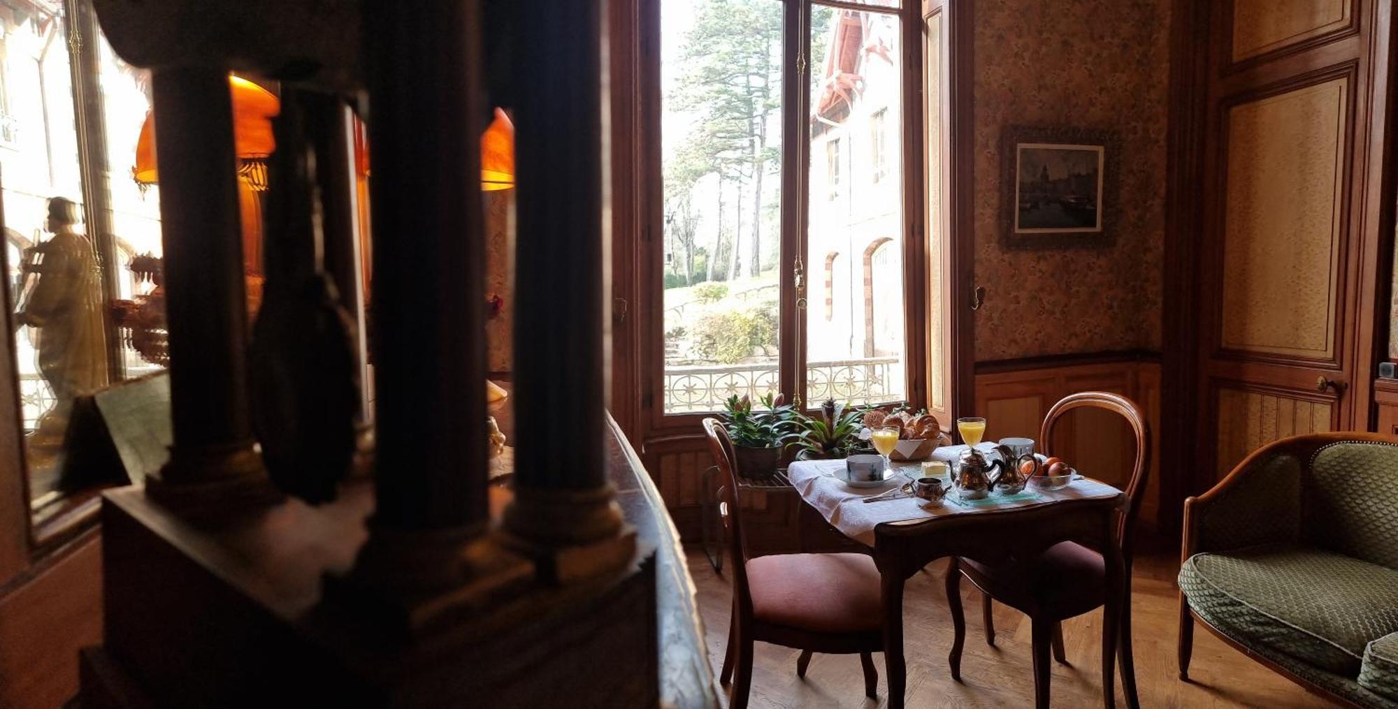 Hotel-Musee Villa Bagatelle Irigny Zewnętrze zdjęcie